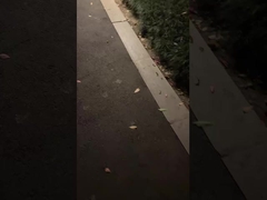 وای! چه لامپ باغ کلاسیک، شبت رو روشن میکنه!