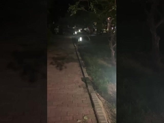 چراغ های درب بیرونی - روشنایی برای پارک ها