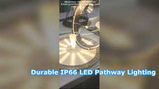 چراغ حیاط LED ضد آب IP66 با آلومینیوم ریخته گری که در پارک ها استفاده می شود.