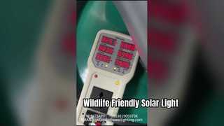 Post Top Light Garden Light 50W با راندمان بالا که در پارک ها و خیابان ها استفاده می شود.
