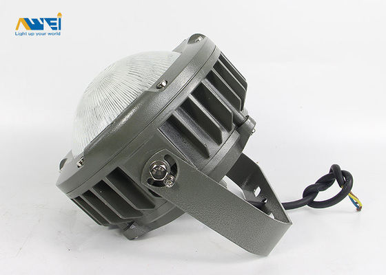 خرید 100 وات ضد انفجار اثبات چراغهای سطح حفاظت IP66 85-265V برای مکانهای مرطوب online manufacture